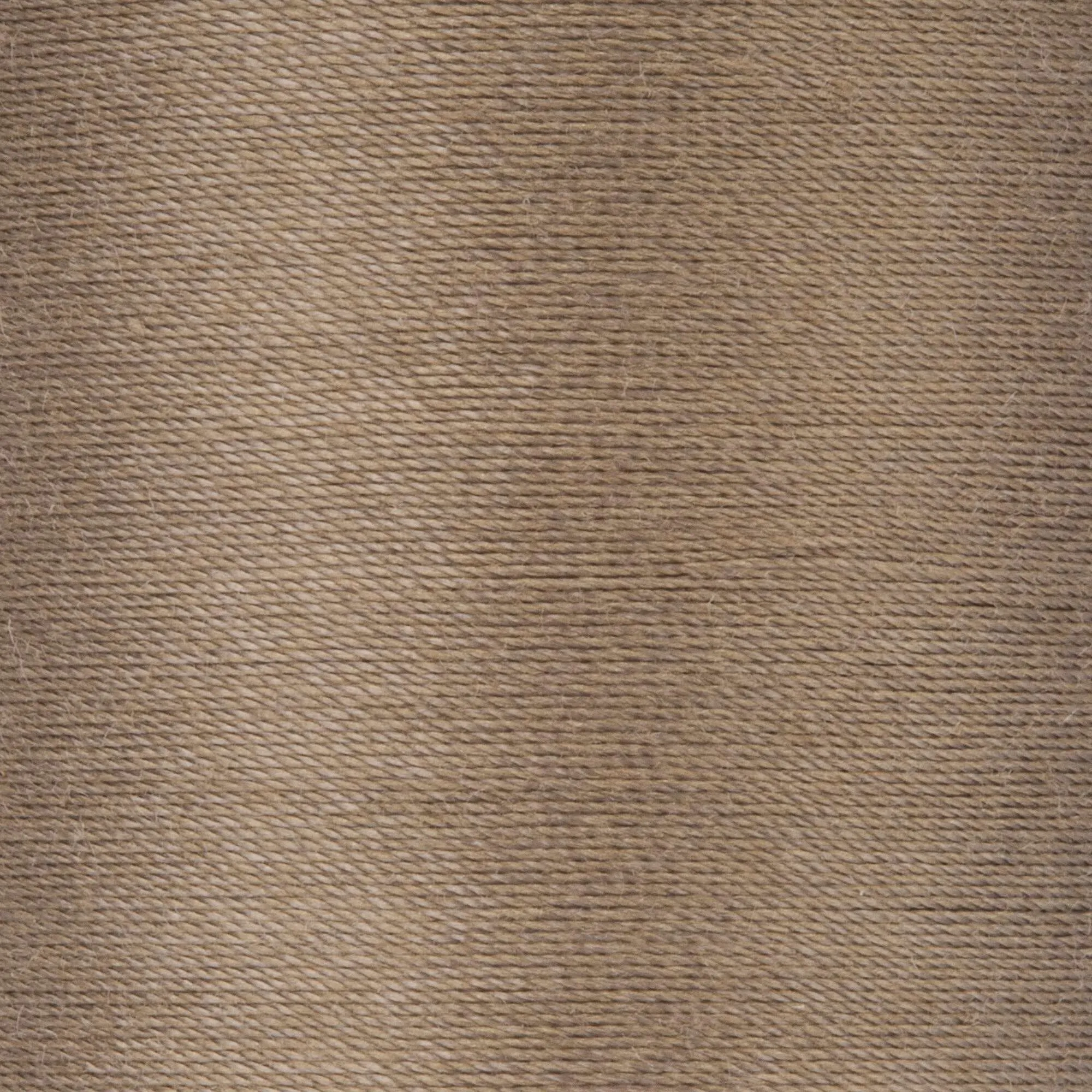 Coats & Clark Cotton Covered Quilting & Piecing Thread (500 Yards)