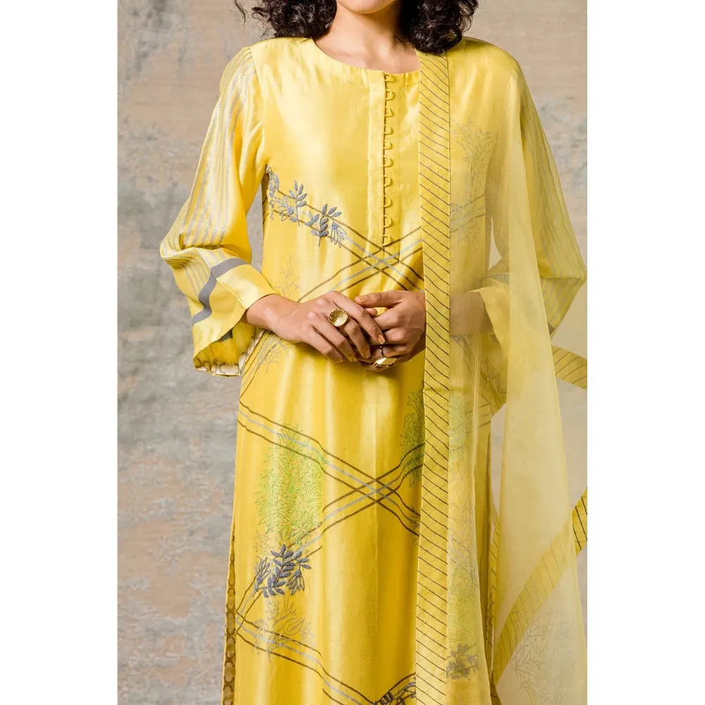 Devnaagri Mustard Chanderi Kurta and Pant with Dupatta (Set of 3)