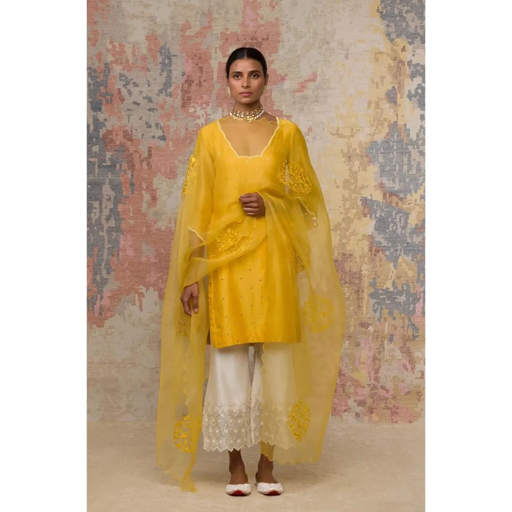 Devnaagri Mustard Mukaish Chanderi Kurta and Palazzo with Dupatta (Set of 3)